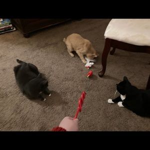 Meet your Posher, Michelle